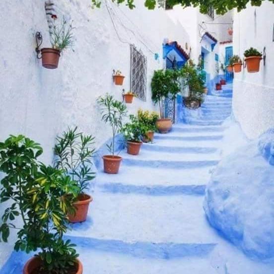 Dar Casa Plasa Grande Chefchaouen Exteriör bild